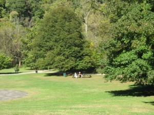 Winans Meadow, along the Gwynns Falls Trail, Gwynns Falls/Leakin Park. In 1939 Frederick Law Olmsted, Jr., recommended acquiring the former Winans estate as an expansion to the stream valley park on Baltimore's west side.