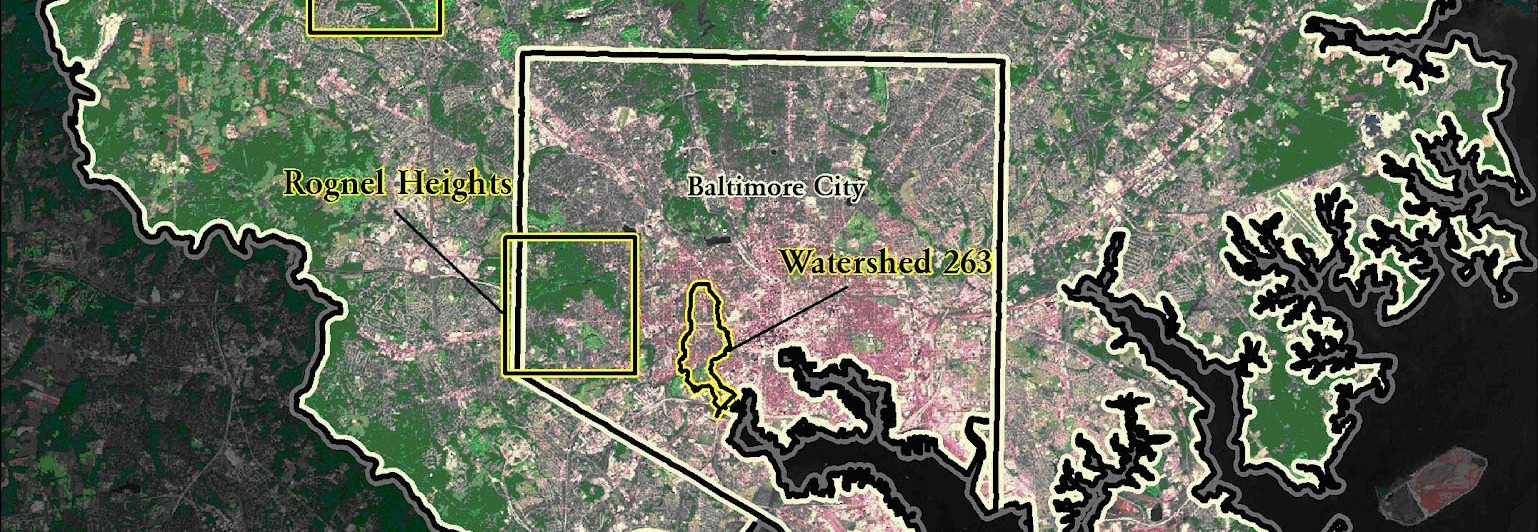 Read more about the article “The Baltimore Ecosystem Study: Reflecting on Fifteen Years of Historical Environmental Research” – Lecture on August 10