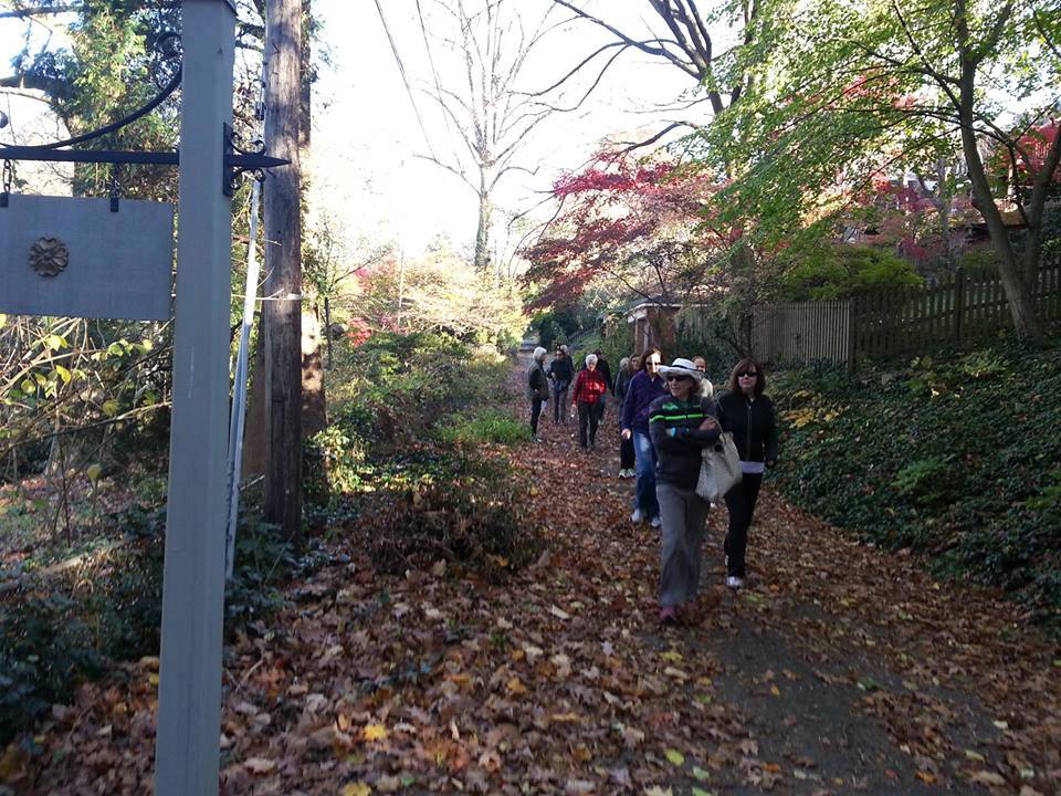 You are currently viewing Secret Footpaths of Roland Park